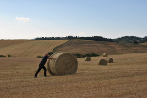 Rotoballe
