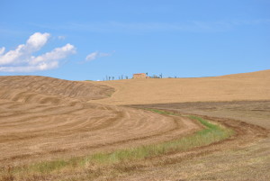DSC_6093