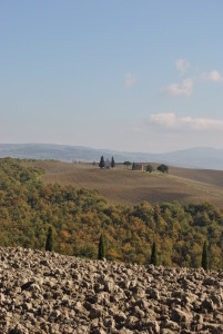 DSC_7637
