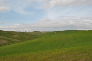 DSC_8326