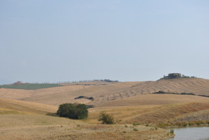 DSC_6652